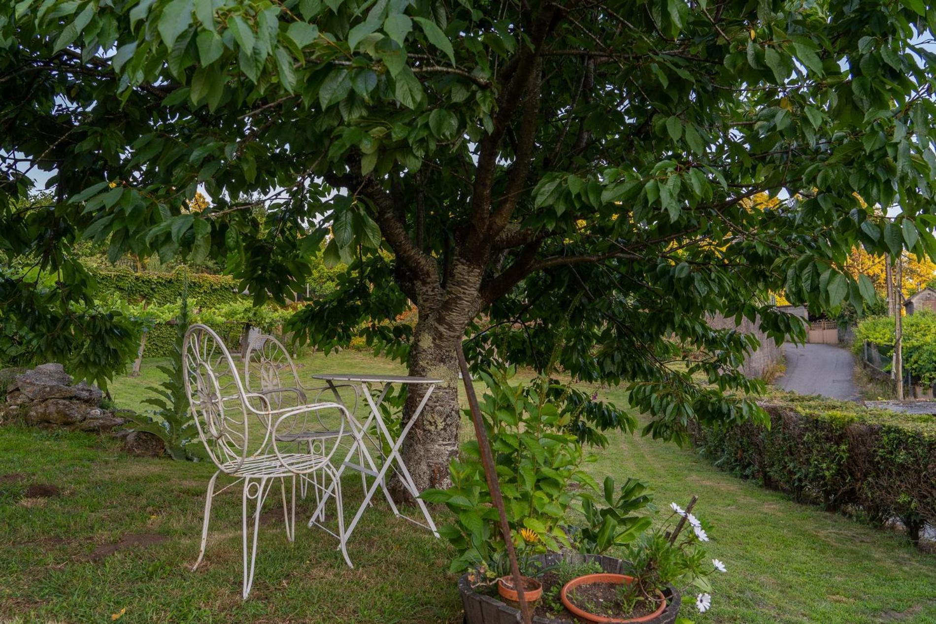 Casa Lameiro Redondela Ngoại thất bức ảnh